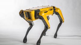 SpotMini - Boston Dynamics'in En Sessiz, Şarjlı Robotu