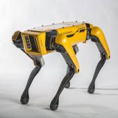 SpotMini - Boston Dynamics'in En Sessiz, Şarjlı Robotu